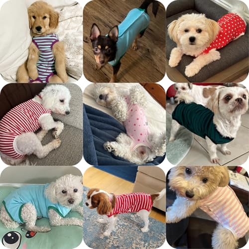 Kukaster Pet Hundebody Nach Op Hündin Rüde Kastration Wundschutzanzüge für Hund, Nylonschnalle für Haarausfall, Allergien, Rasur, Lila blau Streifen S