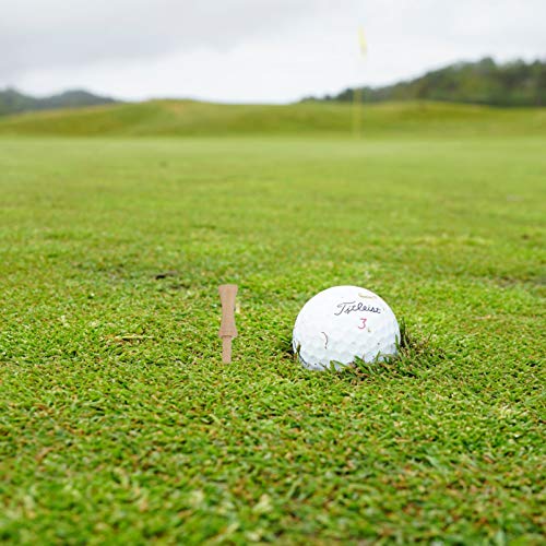 BESPORTBLE 35 Peças de Tees de Golfe de Plástico Tees de Golfe a Granel de Tee Profissional Acessóri