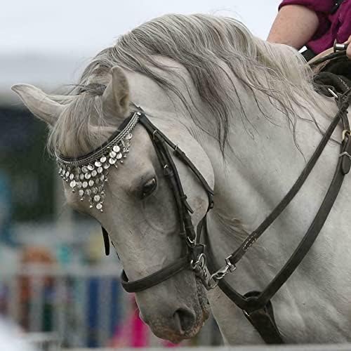 Pelham Horse Bit Double Jointed with Oval Link Stainless Steel