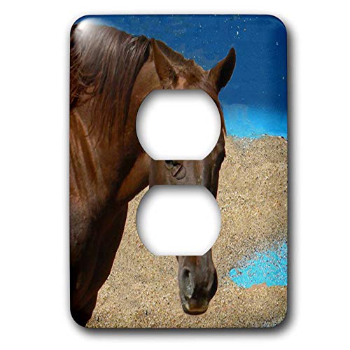 Quarter Horse plaque murale décorative pour salon rustique 3dRose