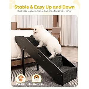 Dog-Stairs-Pawque-2-1-Wooden-Convertible-Pet-Ramp-Stairs-for-High-Beds-Couch-and-Sofa-Side-Rails-Climbing-Aids-Non-Slip-Fabric-for-Dogs-Injured-Older-Dogs-Cats-Pet-with-Joint-Pain-34-Steps - Cucciolini Doodles   Dog-Stairs-Pawque-2-1-Wooden-Convertible-Pet-Ramp-Stairs-for-High-Beds-Couch-and-Sofa-Side-Rails-Climbing-Aids-Non-Slip-Fabric-for-Dogs-Injured-Older-Dogs-Cats-Pet-with-Joint-Pain-34-Steps