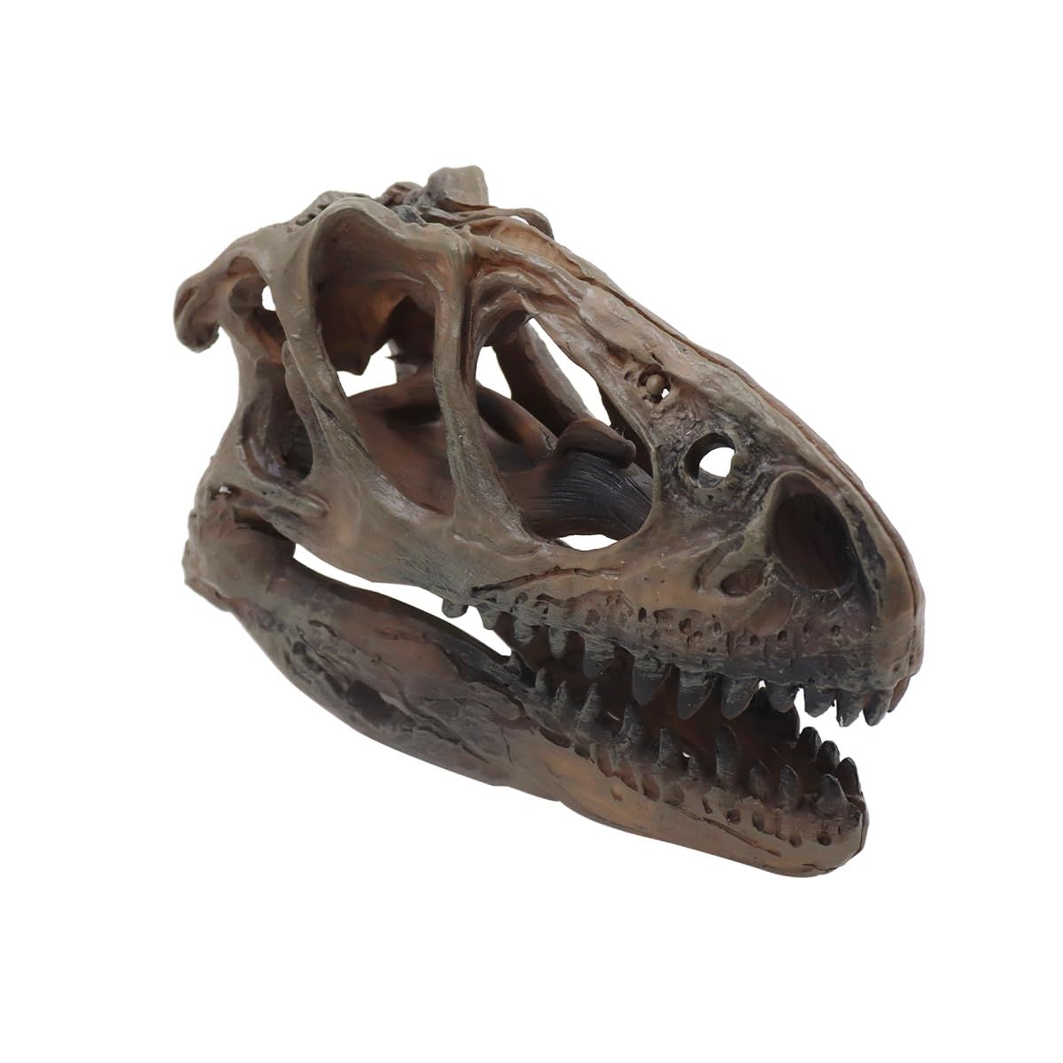 Ludom Crâne de Tyrannosaure en résine - Crâne de dinosaure pour cachette de poisson - Aquarium - Terrarium - Accessoires photo - Outil éducatif - Décoration d'intérieur