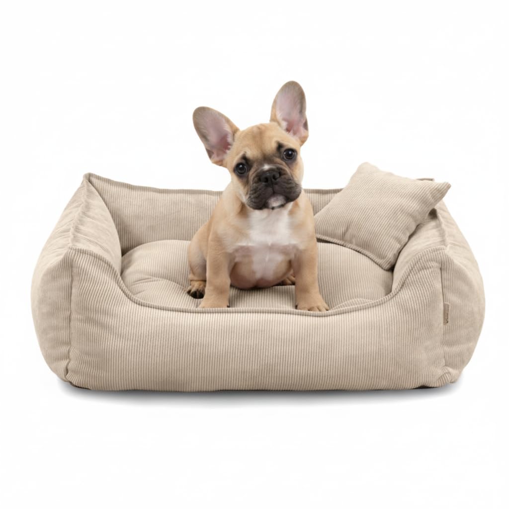 Gutekissen® Letto per Cani Lucky – Morbido Cuscino per Cani per Cani Piccoli e Grandi – Letto Lavabile per Animali Domestici con Imbottitura in Schiuma di Poliuretano e Rivestimento Rimovibile (Crema