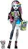 Monster High Weird Cool Friends - فرانكي شتاين، 3Y+، HXH73