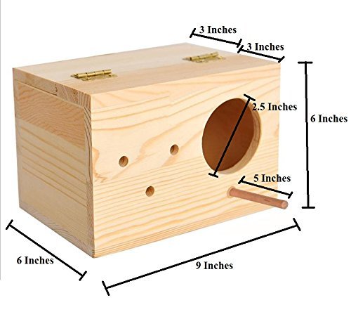 Sage-Square-Special-Combo-of-Jumbo-Size-Natural-Wood-Mountable-Nest-Cum-Breeding-Box-with-Perch-Attached-Design-for-Medium-Size-Birds-with-Nesting-Material-100grm