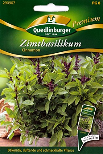 Zimtbasilikum, Cinnamon, Ocimum basilicum, Samen, Saatgut