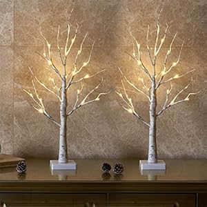 EAMBRITE Set of 2 Light Tree Light Branches for Indoor Use 24 Warm White LEDs Tree Birch Decorative Branches Battery Operated Christmas Decoration for Home Party Birthday Wedding Interior Decoration (60 cm/2 ft)