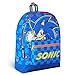 Sonic The Hedgehog Zaino Bambino - Zaino Sonic Scuola Elementare (Blu)