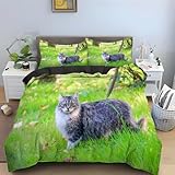 YZQGLHP Housse de Couette 90x190 Chat SibéRien - Decoration Animal, Parure de Lit 1 Personnes Chat SibéRien, Linge de Lit en Microfibre Douce avec Fermeture éclair, 2 Taies d'oreiller 65x65 cm
