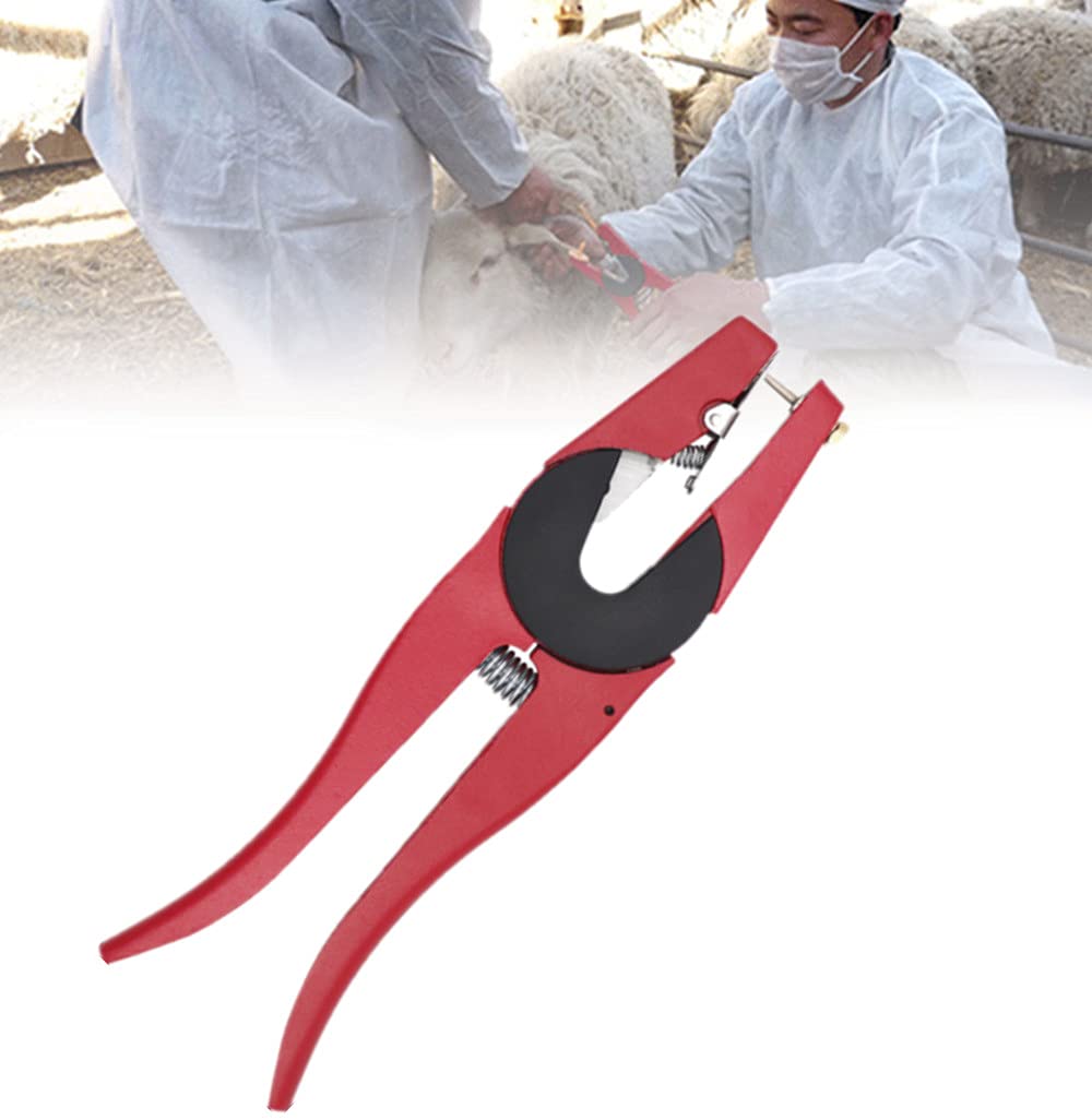 Pinza Applicatrice per Marche Auricolari per Ovini – Strumento di Identificazione Animali da Allevamento per Capre, 23 cm
