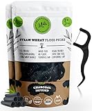 SmartLifeco Biodegradable Dental Floss Picks - Charcoal Thread Flossers for Adults, Natural Teeth Whitening, Eco Friendly Plastic Free Handle, Toothpick Stick Soft on Gums, Zero Waste Vegan, 100x