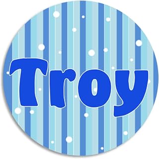 Troy - Circle Sticker Decal 3 Inch - Water Bottle School Name Tag Label