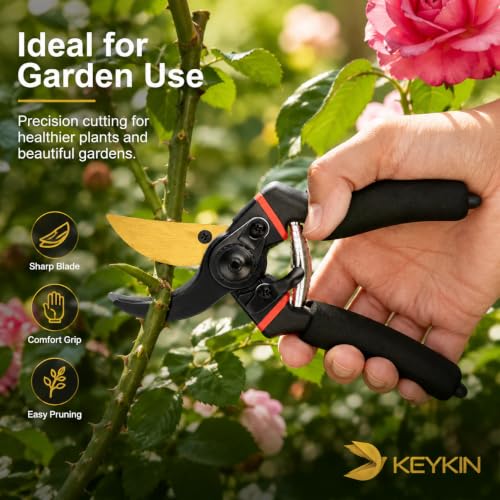 Image of Pruning Shears for Gardening | Heavy Duty Garden Cutter with Sharp Carbon Steel Blade, Ergonomic Non-Slip Handle & Safety Lock | Hand Pruner for Plants, Flowers, Branches & Shrubs