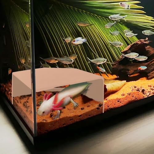 Shrimp Cave for Aquarium Tanks – Durable Fish Tank Decor, Natural Hideout for Ghost Shrimp, Fry, and Nano Fish (Easy to Clean)