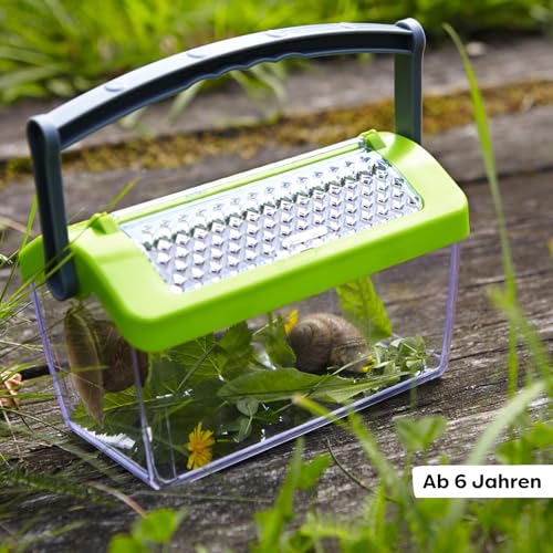 HABA Terra Kids Insektenbox – Naturforschung für Kinder ab 6 Jahren, robuste Beobachtungsstation aus Kunststoff mit Tragegriff und… – Ansicht 6