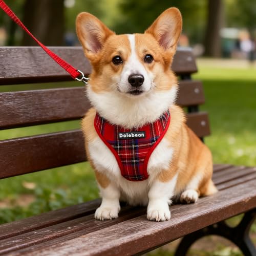 Hundegeschirr Kleine Hunde,Sicherheitsgeschirr Brustgeschirr Welpengeschirr Hundeleine Zuggeschirr Hundeweste Antiziehgeschirr Hundegurt Panikgeschirr Mitwachsend Gepolstert Kleine Hunde (Rot, S)