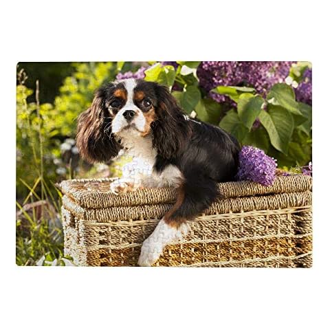 MyDaily 1000 Pieces Jigsaw Puzzles for Adults - Cavalier King Charles Spaniel Dog, Kids Puzzle Game Cover