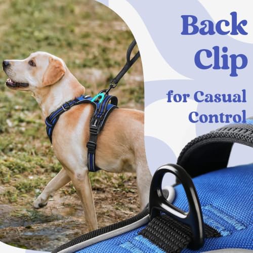 rabbitgoo Dog Harness Medium Sized, Updated Easy On & Off with 3 Buckles | No Pull No Choke, Walking with 2 Clips and Handle, Adjustable Soft Reflective, Blue, Medium - Image 7