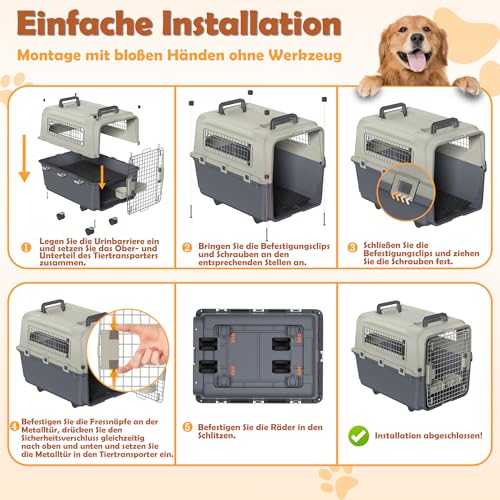 Froadp Transportbox für Haustiere Hund Katze Hundebox aus PP Kunststoff 67x51x58.5cm Katzentransportbox Hundetransportbox mit Rädern & Urinabstandshalter & Hängende Fressnäpfe Katzenbox
