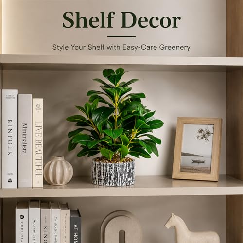 Der Rose 15.7" Small Artificial Plant Indoor for Shelf Desk Entryways Decor - Image 4
