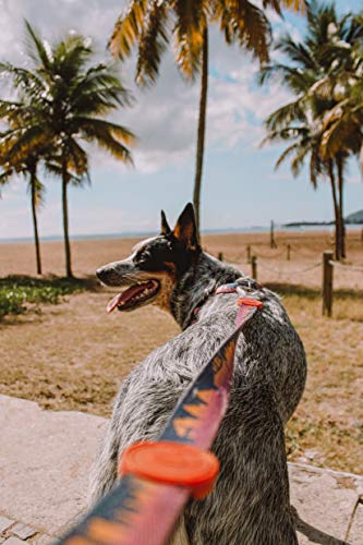 Guia Para Cachorros dog27 Skyline Tamanho:P