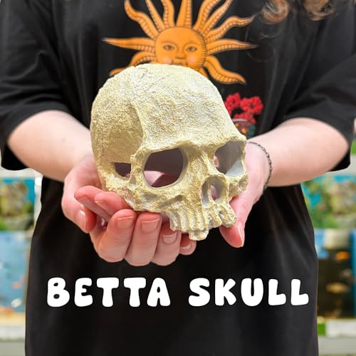 Image of CTWPets Aquarium Human Skull Decor for Betta Fish, Sinking Hide Shrimp Hide