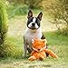 CHEWFFON Stuffless Dog Toy, Interactive Dog Toys, Plush Puppy Squeaky Toy with Fox Design, Puppy Puzzle Toys Stress Release Game for Boredom, Crinkle Snuffle Puzzle for Small Medium and Large Dogs
