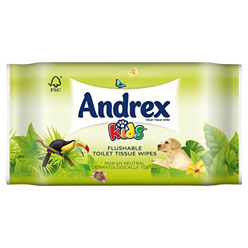 Buy Andrex Washlets Flushable Kids Toilet Tissue Wipes 42 per Pack