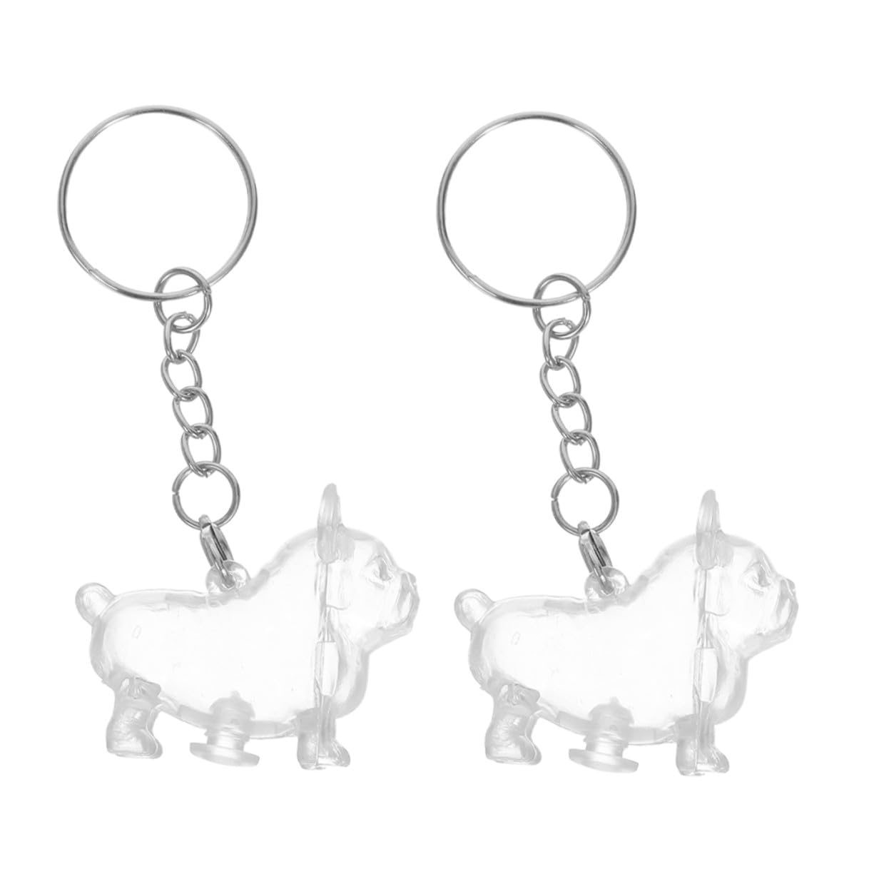 Boîte à souvenirs pour poils animaux et chat : 2 porte-clés capsules