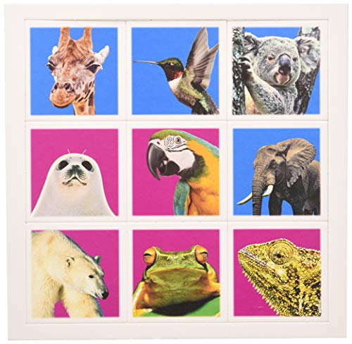 Tactic 41441 Memo Game, meerkleurig - Image 4