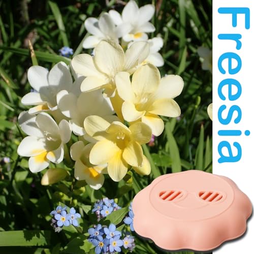 Image of Small Area Air Freshener,Odor-Fighting,Plug In Alternative,Air Fresheners for Home and Bathroom and Kitchen, Closet Air Fresheners for Car,Shoes and Pets,Freesia & Forest,4 Count