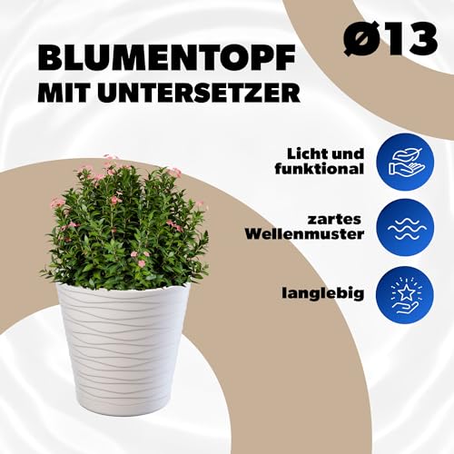 KADAX Blumentopf mit Untersetzer, Pflanzkübel für Innen, Leichter Blumenkübel, Pflanztopf aus Kunststoff, runder Übertopf für Blumen… – Ansicht 2