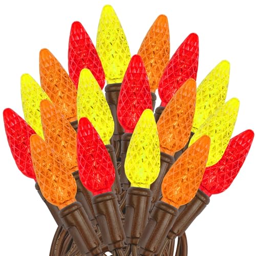 Novelty Lights 24FT 70 LED C6 LED Thanksgiving String Lights, Outdoor Christmas Tree Commercial...