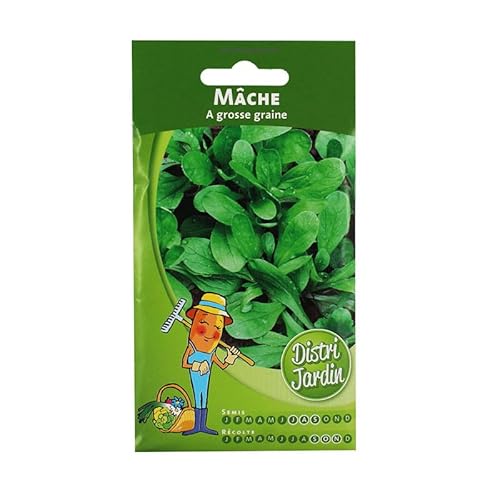 Mâche A grosse graine