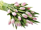 KaBloom PRIME NEXT DAY DELIVERY - WEDDING COLLECTION - 30 Pink Tulips I Gift for Birthday, Anniversary, Thank You, Mother’s Day Fresh Flowers.