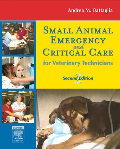 small animal emergency