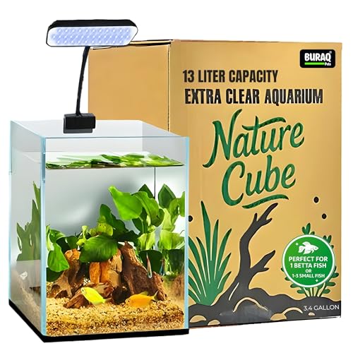 Image of Buraq Ultra Clear Aquarium Glass Fish Tank BL-C04 with WRGB Flat LED Light for Small Fishes