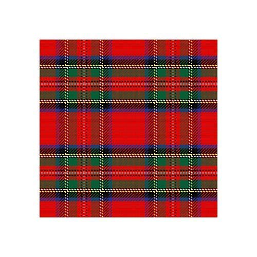 Patterned Paper Strips For Weaving Projects. Paper Strips For Moravian Stars, German Stars And Froebel Stars. 50 Strips Per Pack. (3/4 Inch, Tartan) #TOP6