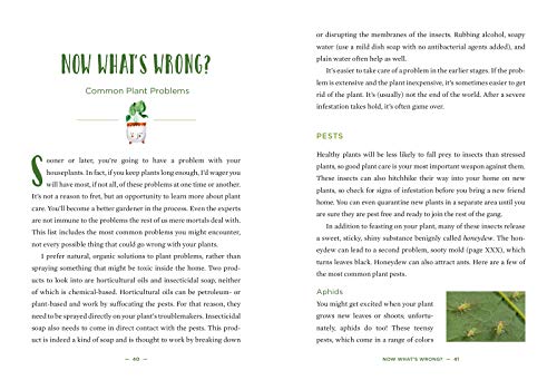 How to Houseplant: A Beginner's Guide to Making and Keeping Plant Friends - Image 5