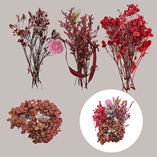 Cayway 2 Packs Natural Dried Flowers, Real Dried Pressed Flowers, Multiple Pressed Dry Flowers with Tweezers - Image 2