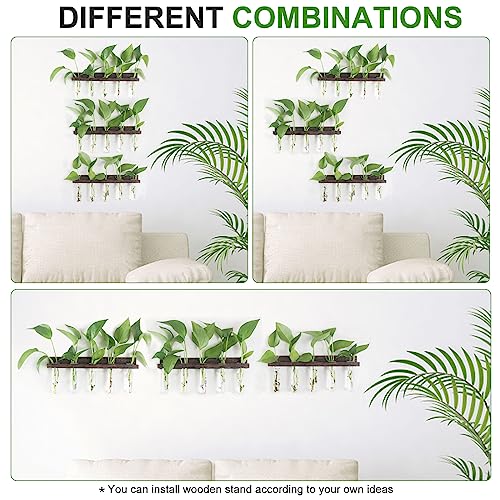 Renmxj Wall Hanging Plant Propagation Station - (15+1) Test Tubes 3 Tiered Wooden Stand Plant Terrarium,Wall Planters For Indoor Plants,Plant Lover Gifts For Women #TOP2