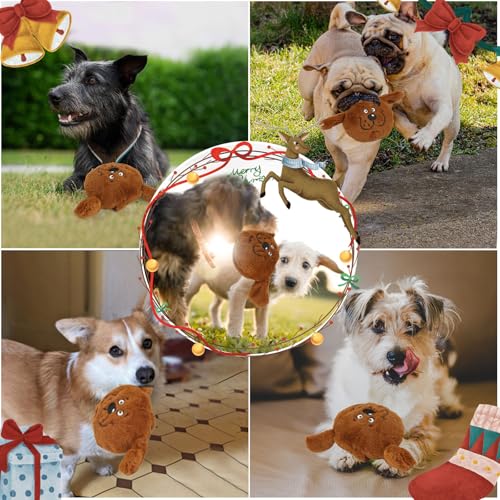 Juguete mordible para perros pequeños y medianos con sonido miniatura 2