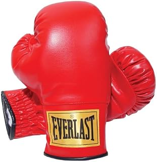 Everlast 2964 Traditional Boxing Gloves (14 oz.)