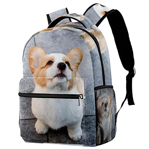 Sac à dos de voyage corgi puppy le cadeau mignon pour filles et garçons