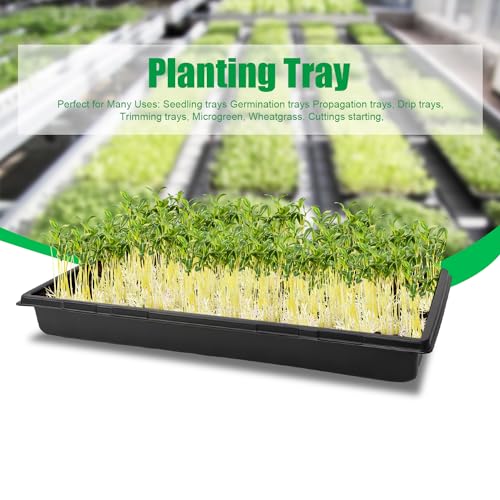RooTrimmer Plant Growing Nursery, Standard 1020 Trays Plastic Sturdy Farmer Self Seedling Tray for Microgreens Indoor Nursery Pots Transplantation (5-Pack, 21.6"×11.2", 2.52" Deep, no Holes) - Image 5