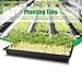 RooTrimmer 10 Pack 1020 Trays, Extra Thick Heavy Duty Seed Starting Trays - No Holes, No Leak, Reusable Propagation Flats for Microgreens, Seedlings, Plant Germination, Fodder and Transplant