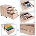 Decho 3 Drawer Wood Mobile File Cabinet Fully Assembled Except Casters,Letter Size/A4,Oak