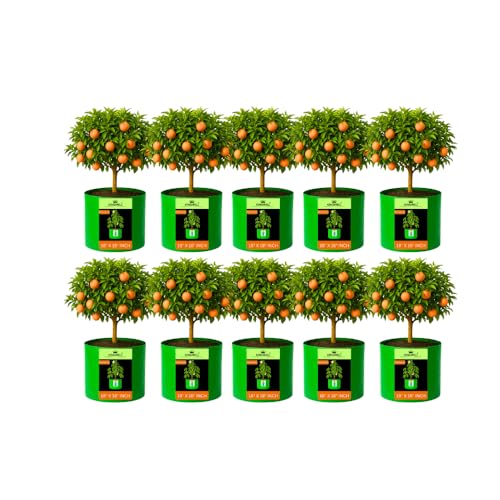 Image of Kingwell grow bags 18x18 inches pack of 10 Grow Bag For Terrace Garden Leafy Vegetable Plant Grow Bags Fruits Growing Containers For terrace Gardening