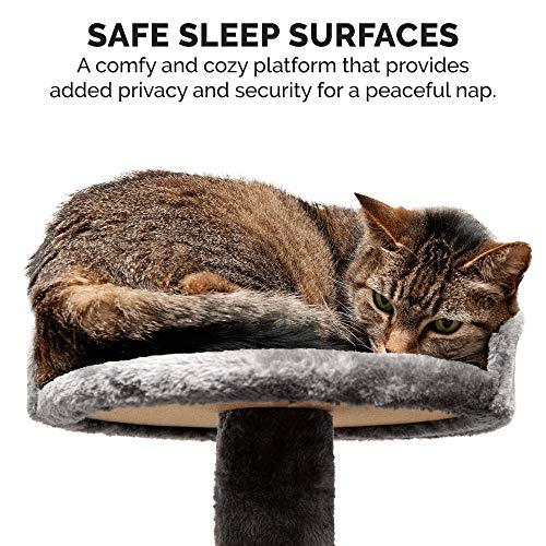 Image of Furhaven 49.5 inch Tall Cat Tree for Indoor Cats, Ft. Sisal Scratching Posts, Plush Ball Toy, & Busy Box Toy - Tiger Tough Play Stairs Interactive Playground Tower - Gray, One Size