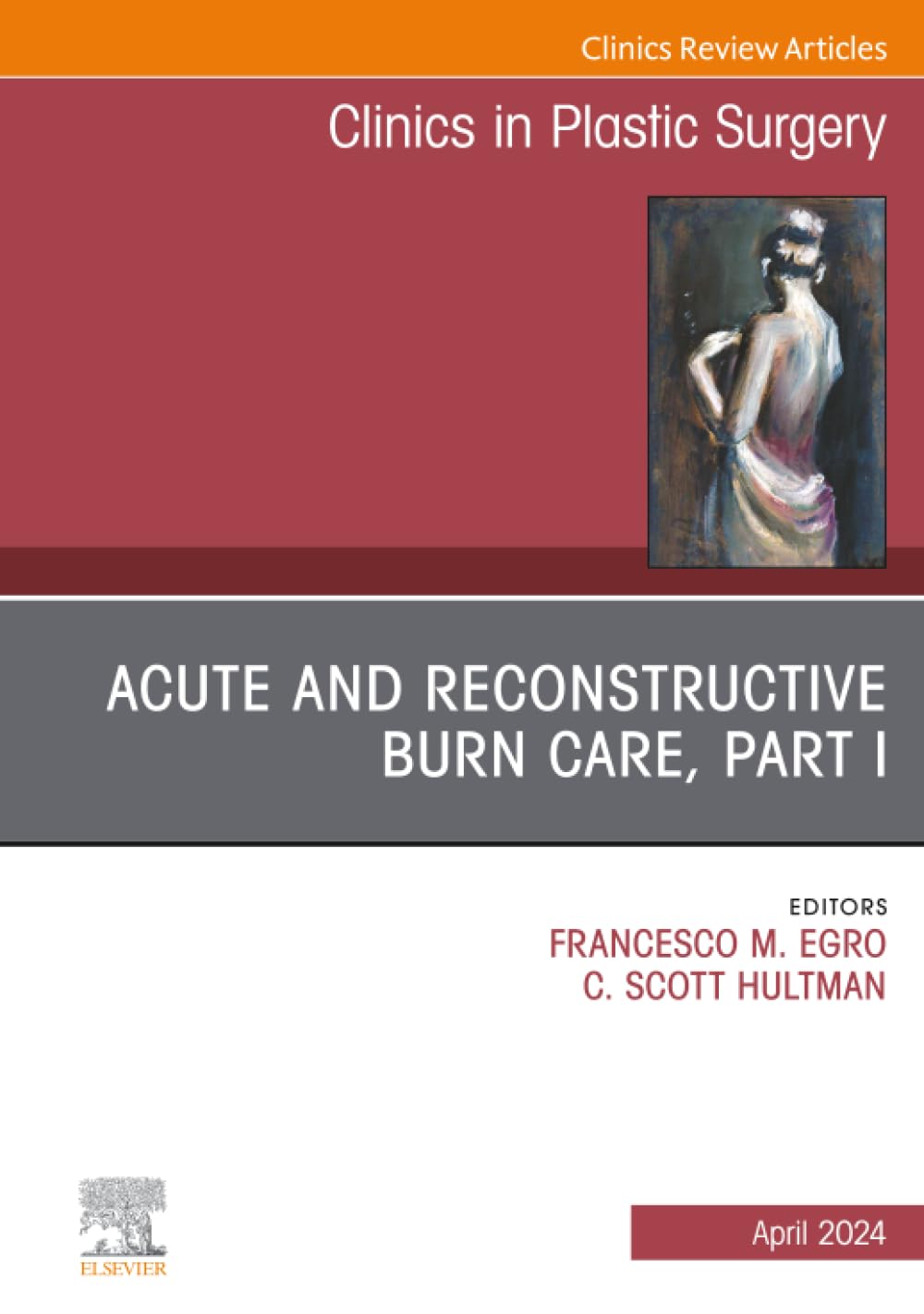 Acute and Reconstructive Burn Care, Part I, An Issue of Clinics in Plastic Surgery: Volume 51-2 (The Clinics: Surgery, Volume 51-2)